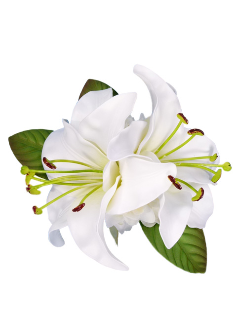 Hula Hair Clip Lily White J1529 Hulaohana