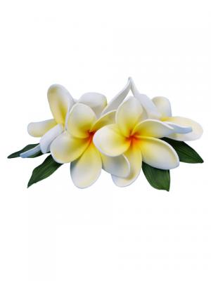 Hula Hair Clip / Pulumeria / White and Yellow / J1347wy