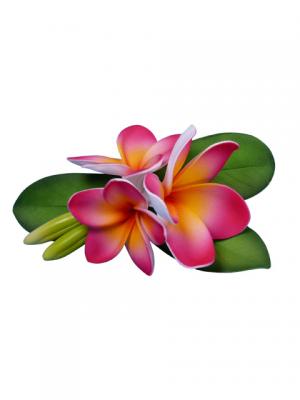 Hula Hair Clip / Pulumeria / Yellow and Pink / J1348ypi
