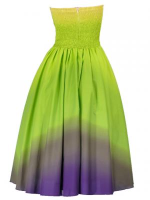 Hula Strapless Gradation Dress / Green & Purple  / G1975gp