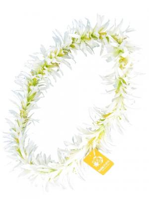Hula Long Lei / Spider Lily / White / J1995w