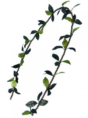 Hula Open-Ended Lei / Mokihana and Maile / J2255