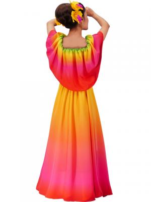 Hula Long Maxi Multi Way Dress / Luxury Collection / Gradation / Green & Pink / J2288grpi