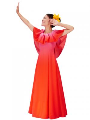 Hula Long Maxi Multi Way Dress / Luxury Collection / Gradation / Pink & Red / J2288pir