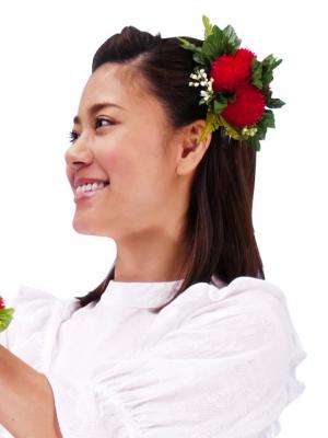 Hula Hair Clip / Lehua / Red / J2328r