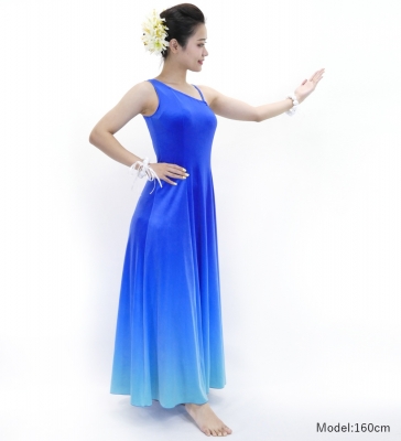 Hula One Shoulder Gradation Velvet Dress / Luxury Collection / BLU & Light BLU / J2347blbl