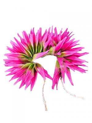 Hula Hair Clip / Bird of Paradise / Magenta and Green / J2441magr