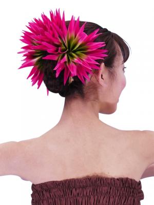 Hula Hair Clip / Bird of Paradise / Magenta and Green / J2441magr