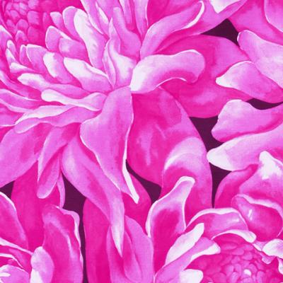 Hula Pa'u Skirt with Protea  Print / Pink / G2460
