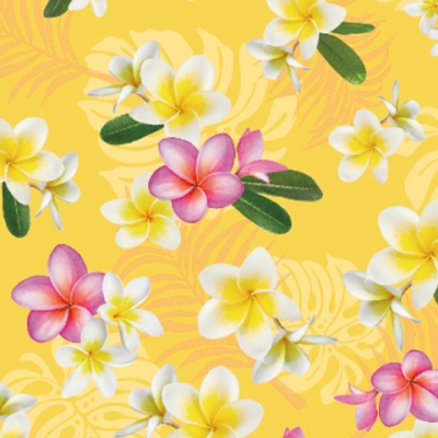 Hula Multi Way Plumeria Dress with Velvet / Luxury Collection / Yellow / J2518ye