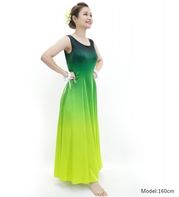 Hula Long Dress with Velvet / Luxury Collection / Green & Yellow / J2714grye