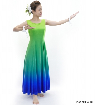 Hula Long Dress with Velvet / Luxury Collection / Yellow Green & Blue / J2714yegrbl