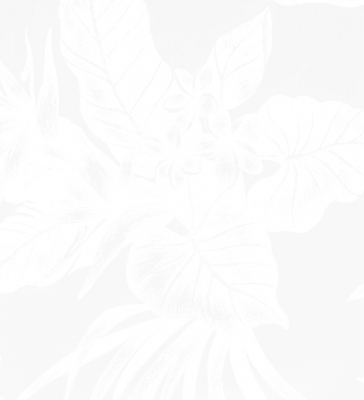 Hula Pa'u Skirt with Plumeria & Hawaiian Leaf Print / White /G3063