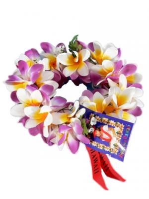 Hula Headband / Plumeria / Purple / J314