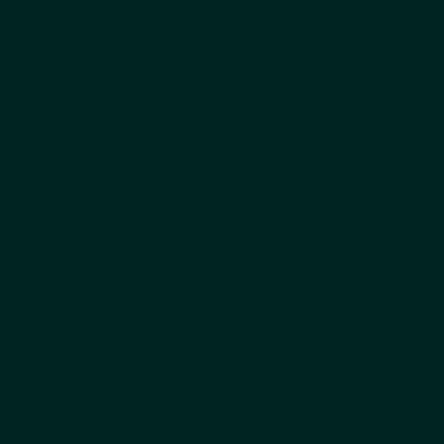 Hula Solid Shantung Pa'u Skirt / Luxury Collection / Dark Green / J3177dgr