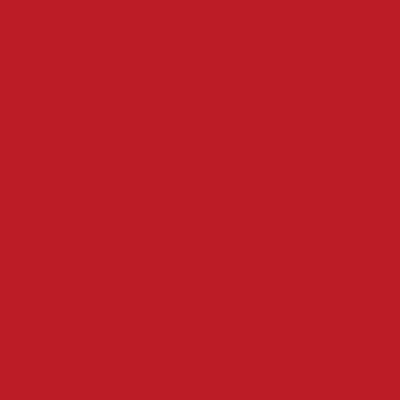 Hula Solid Shantung Pa'u Skirt / Luxury Collection / Dark Red / J3177drd