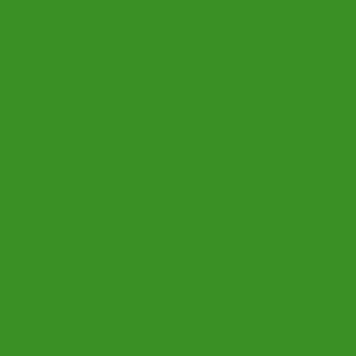 Hula Solid Shantung Pa'u Skirt / Luxury Collection / Emerald Green / J3177egr