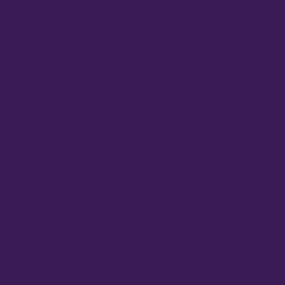 Hula Solid Shantung Pa'u Skirt / Luxury Collection / Purple / J3177pu