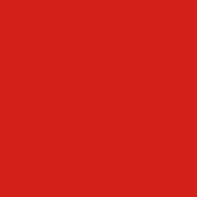 Hula Solid Shantung Pa'u Skirt / Luxury Collection / Red / J3177rd