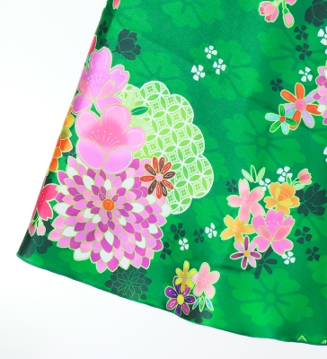 Japan Fabric One Shoulder Frill Sleeve Long Dress / Green / JW004gr