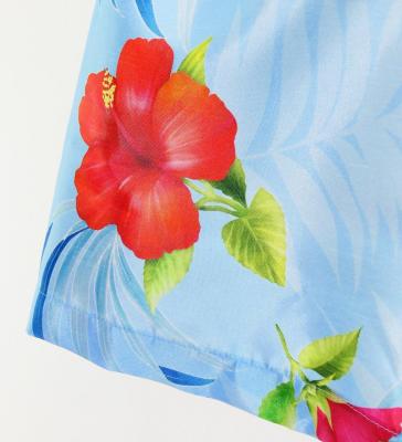 Hula Set up Keiki with Hibiscus Print / Luxury Collection / Light Blue / Jp71lbl