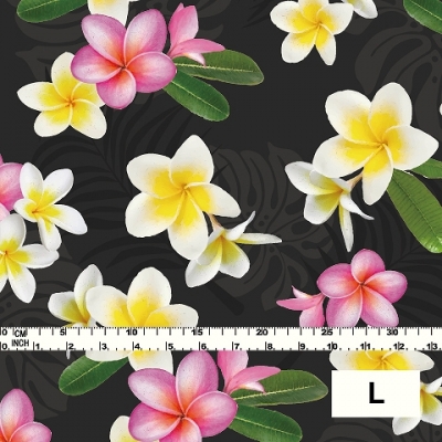 Hula Fabric / Plumeria / JKH-518-BK