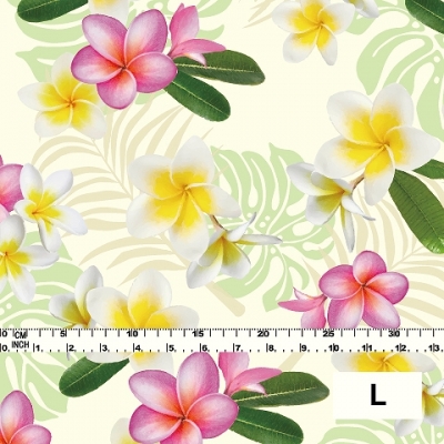 Hula Fabric / Plumeria / JKH-518-CR