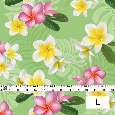 Hula Fabric / Plumeria / JKH-518-LGR