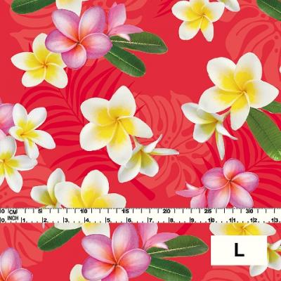 Hula Fabric / Plumeria / JKH-518-RD