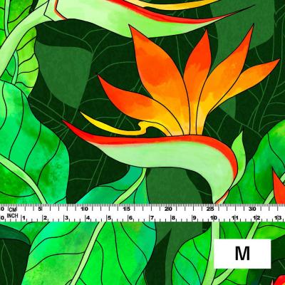 Hula Fabric / Strelitzia / JKH-550-GR