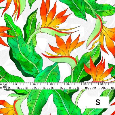 Hula Fabric / Strelitzia / JKH-550-WH