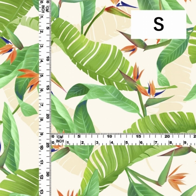 Hula Fabric / Strelitzia / JKH-596-WH