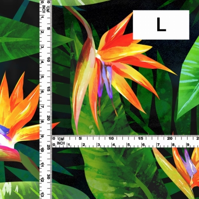 Hula Fabric / Strelitzia / JKH-650-BK
