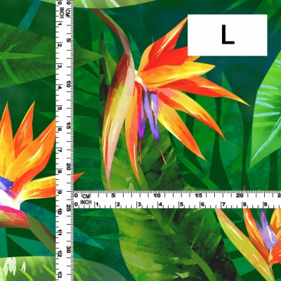 Hula Fabric / Strelitzia / JKH-650-GR