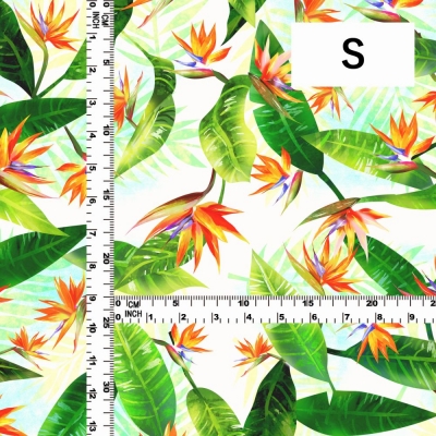 Hula Fabric / Strelitzia / JKH-650-WH