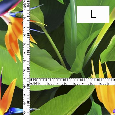 Hula Fabric / Bird of Paradise / JKH-668-DGR