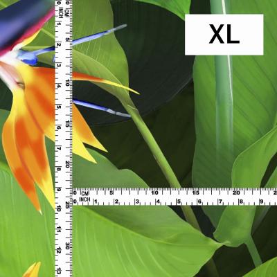 Hula Fabric / Bird of Paradise / JKH-668-DGR