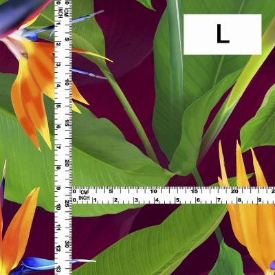 Hula Fabric / Bird of Paradise / JKH-668-WI