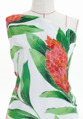 Hula Fabric / Red Ginger / JKH-562-WH