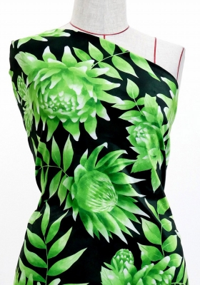 Hula Fabric / Protea / JKH-584-GR
