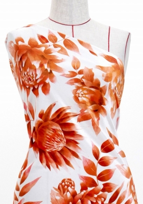 Hula Fabric / Protea / JKH-584-WHOR