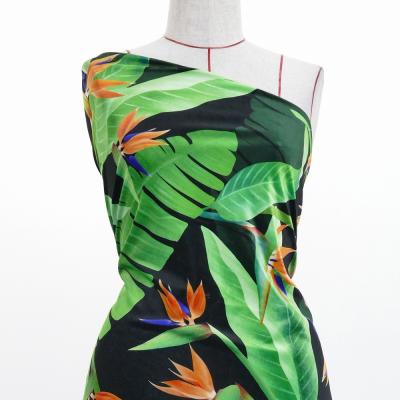 Hula Fabric / Strelitzia / JKH-596-BK