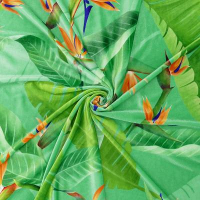 Hula Fabric / Strelitzia / JKH-596-GR