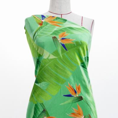 Hula Fabric / Strelitzia / JKH-596-GR