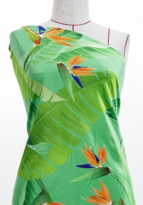 Hula Fabric / Strelitzia / JKH-596-GR
