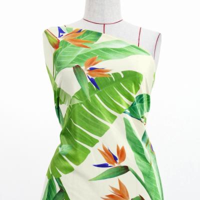 Hula Fabric / Strelitzia / JKH-596-WH