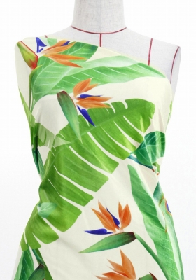 Hula Fabric / Strelitzia / JKH-596-WH