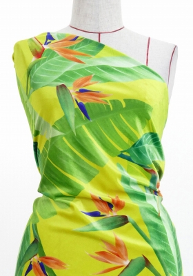 Hula Fabric / Strelitzia / JKH-596-YE