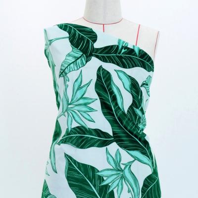 Hula Fabric / Strelitzia / JKH-630-TBL