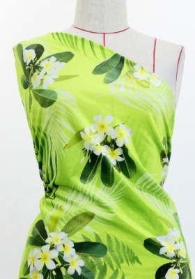 Hula Fabric / Plumeria / JKH-644-YEGR